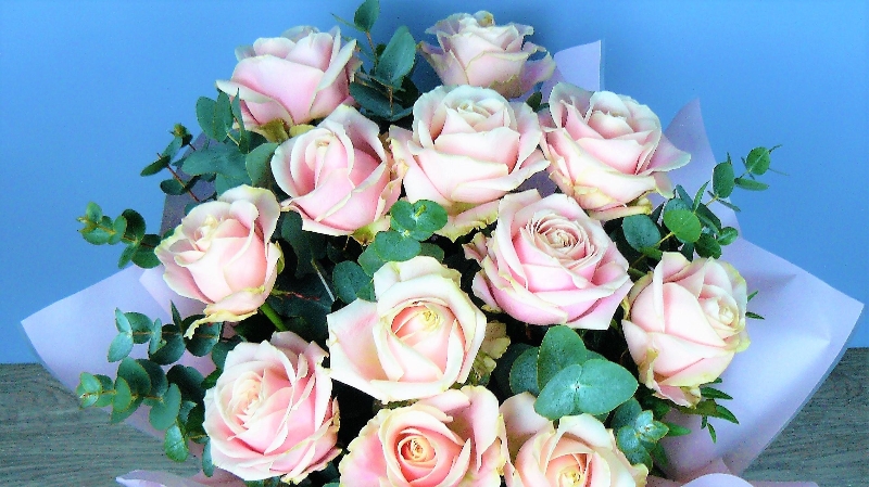 Cupid's Dozen