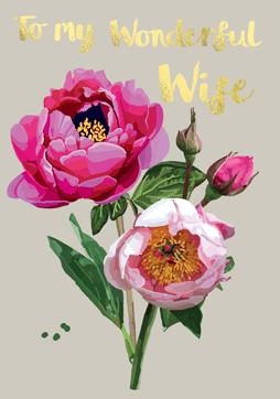 To My Wonderful Wife