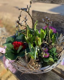Spring Flowers