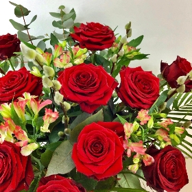 Luxury Red Velvet Dozen Long Stem with Vase
