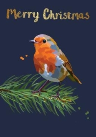 Merry Christmas Robin