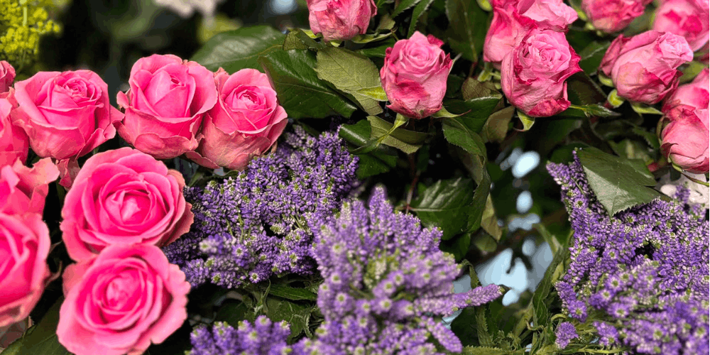 Dusty pink garden roses in a cream jug