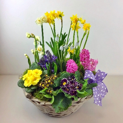 Scented Spring Garden