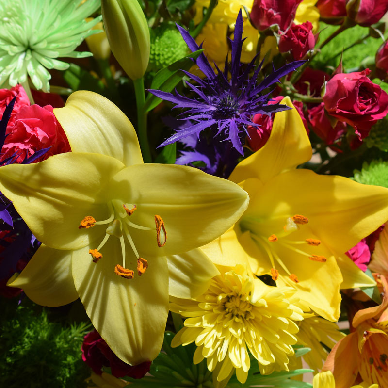 Subscription Flowers