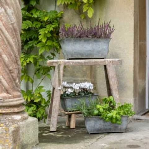 Pots & Planters