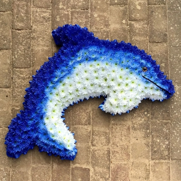 Dolphin shaped funeral tribute massed in white flowers with blue detail