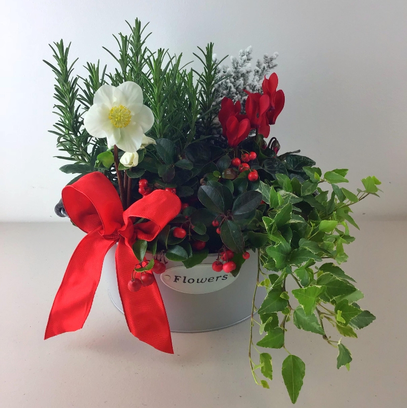 Christmas Planter