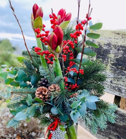 Luxury Christmas Amaryllis Vase