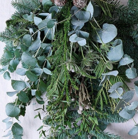 Door Bunch   Eucalyptus and Seasonal Fir Foliages