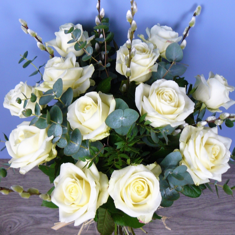 Willow & White Dozen